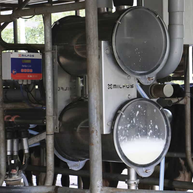 Sazón Sula | Sazón de la calle el proceso de la leche